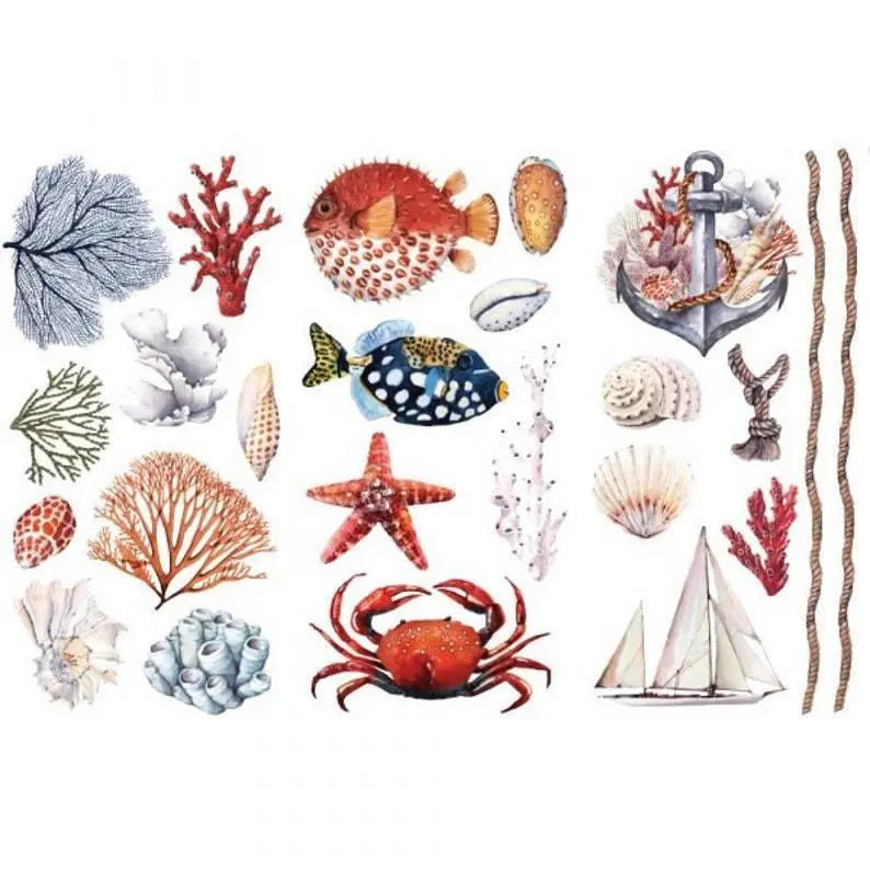 Amazing Sea Life Mini-Transfer - Total Sheet Size: 6″ X 12″ Prima Re-Design