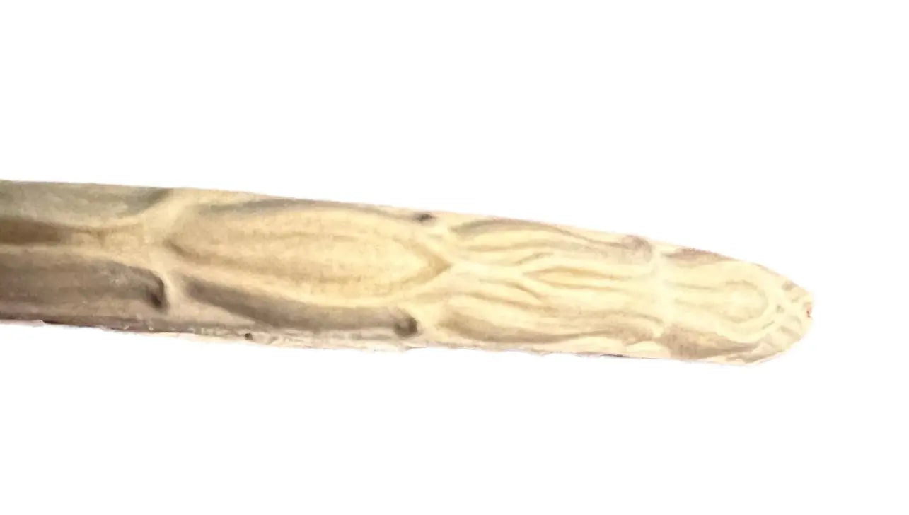 Flexible wooden moulding trim IFW 4012 Flexible Pliable Embellishment