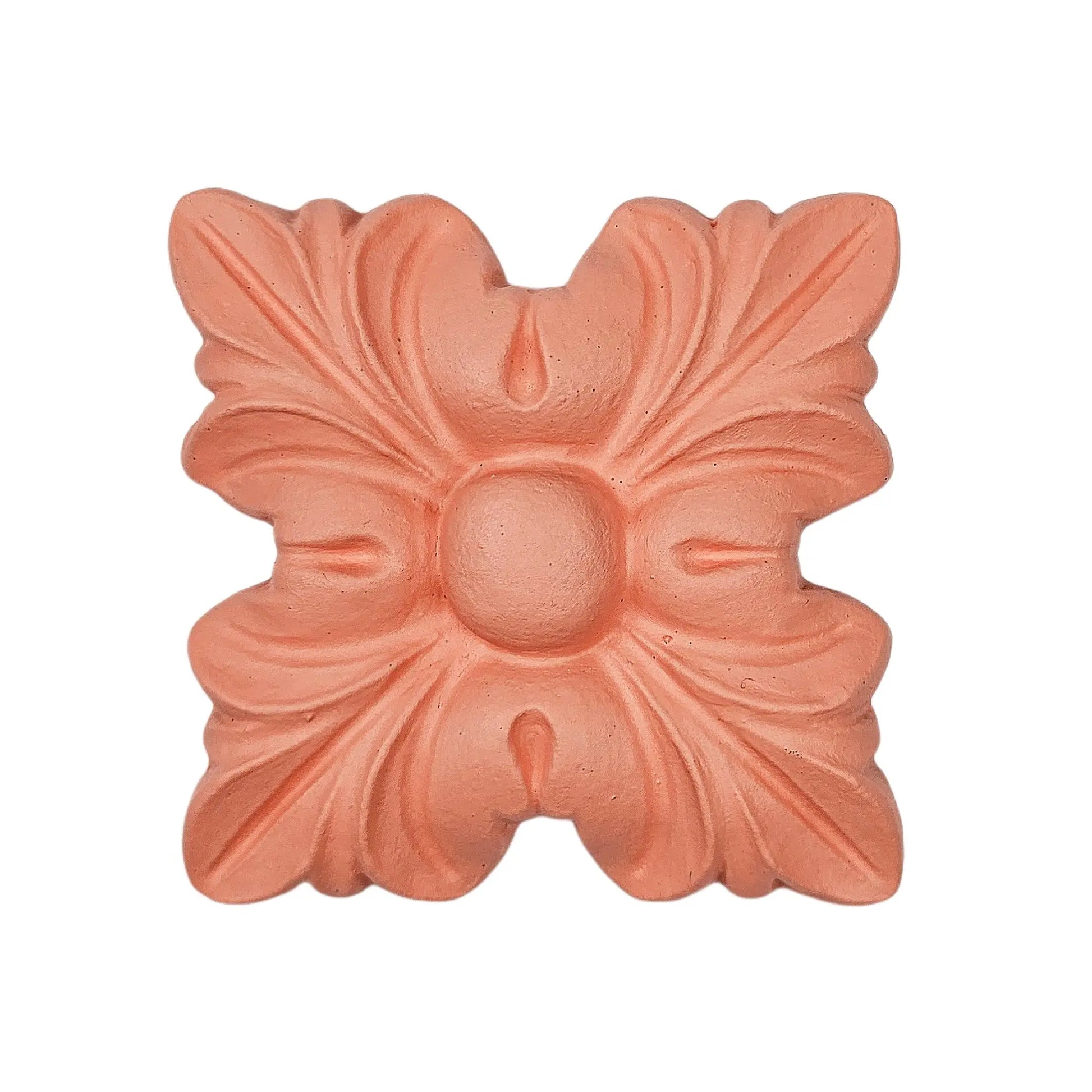 Coral Passion Acrylic Mineral Paint All Paint Products