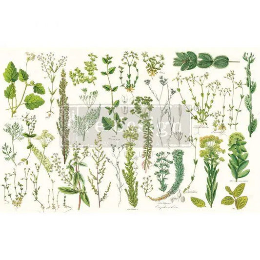 Re-Design with Prima Greenery – DECOUPAGE DECOR TISSUE PAPER - 1 SHEET, 19″X30″ Prima Re-Design