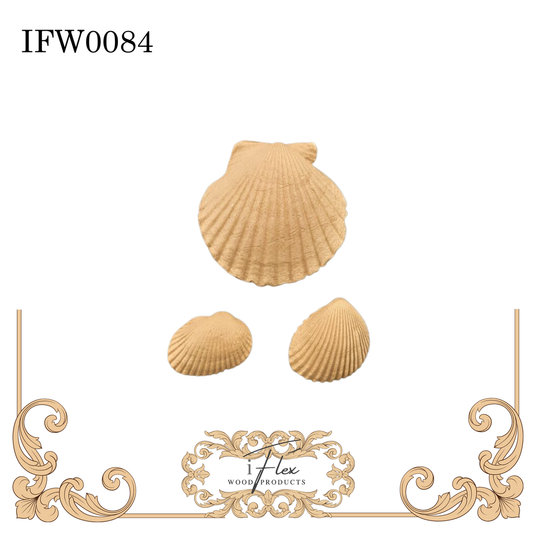 IFW 0084 Set of 3 sea shells, nautical