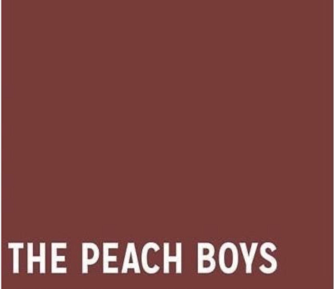 paint-couture-cece-restyled-remix-collection-The Peach Boys