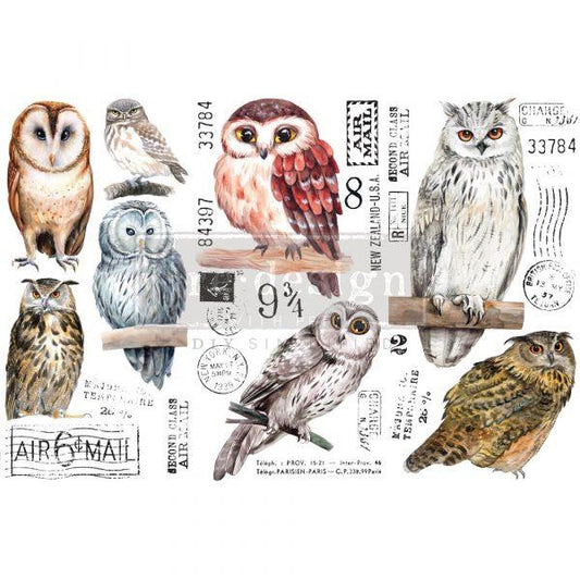 Owl Mini-Transfer - Total Sheet Size: 6″ X 12″